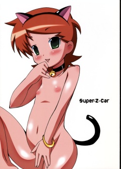 Super-Z-Car