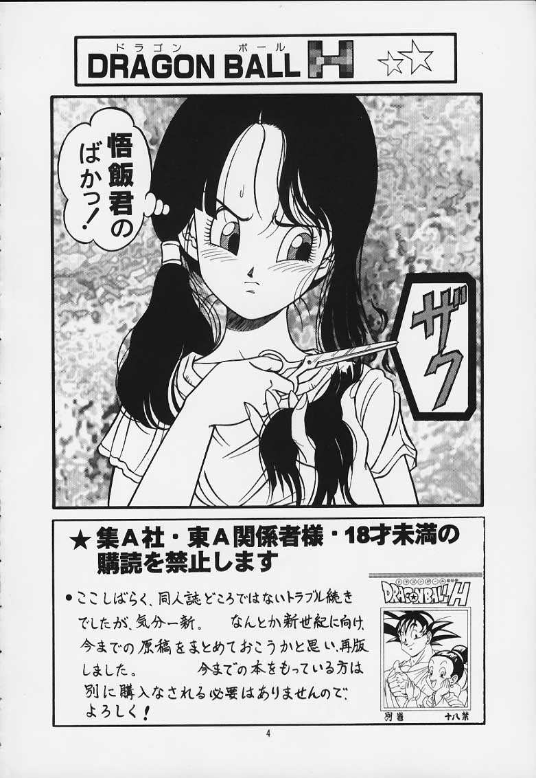 DRAGONBALL H Maki Ichi Ni Saihan - Page 3 - HentaiEra