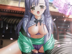 Hentai Collection Package 14