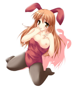 Bunny 1