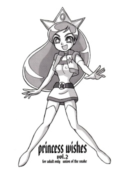 princess wishes vol. 2