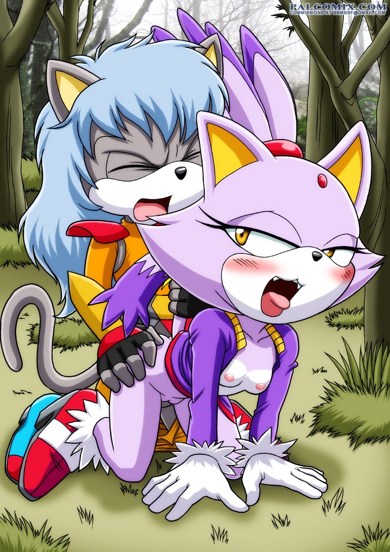 Large Sonic Collection- Blaze the Cat - Page 8 - HentaiEra