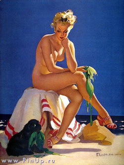 My Pin-Up Collection