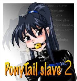PonyTail slave2