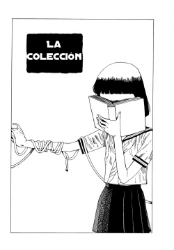 The Collection - La Coleccion