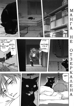 Neko no Ongaeshi | Кошка, которая платит за доброту