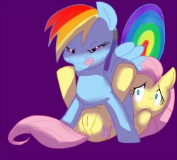 My little pony : friendship is magic