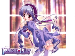 Princess Diary ～ Himitsu no Kinshin Soukan Nikki ～
