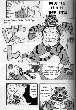 Build Tiger 0 prologue