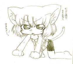 Ero Neko-san