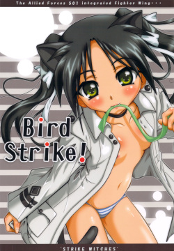 Bird Strike!