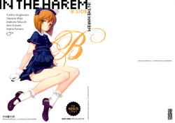 IN THE HAREM B SIDE | En el Harem - Parte B