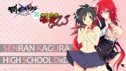 Collection of High School DxD