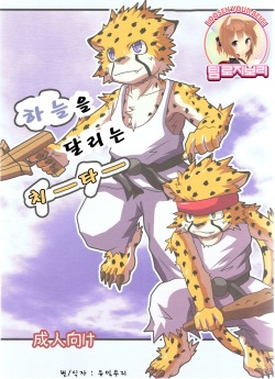 Sora o Kakeru Cheetah