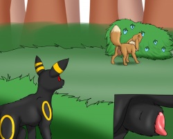 Umbreon Sees A Vee