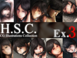 H.S.C. Illust Collection Ex.3